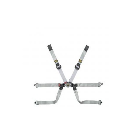 Arnés homologado FIA de 6 puntos OMP 0104 HSL - FORMULA