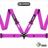 Arnés homologado FIA de 4 puntos RRS EVO 4 (colores personalizados)