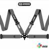 Cinturón Arnés homologado FIA de 4 puntos RRS EVO 4 color Gris (ESPECIAL POR ENCARGO)