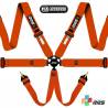 Cinturón Arnés homologado FIA de 6 puntos RRS EVO 6 color Naranja (ESPECIAL POR ENCARGO)