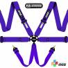 Cinturón Arnés homologado FIA de 6 puntos RRS EVO 6 color Lila (ESPECIAL POR ENCARGO)