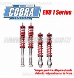 Ford Fiesta V-Jh 1|Jd 3 3|5P 1.25|1.3|1.4|1.4TDCi|1.6TDCi 04|2002-10|2008 Suspensiones Cobra EVO I