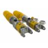 Ohlins Suspension Advanced Trackday & Motorsport Porsche 718/ 981 GT4/ Spyder, Advanced Trackday TTX, set