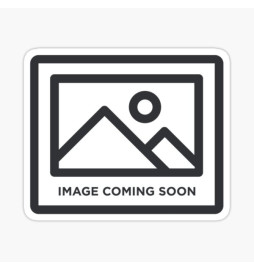 Audi RS6 Avant Tiptronic C8 (4K) Type F2 año 11|19- Tubo Escape Remus Duplex 047020 0500lr Remus - 1
