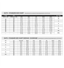 Mono automovilismo Ignífugo Sabelt FIA UNIVERSE TS-8 blanco Sabelt - 2