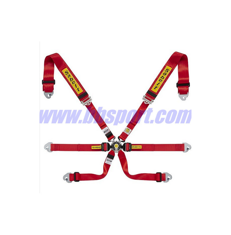 Racing safety harness with 6 GOLD ENDURANCE anchor points