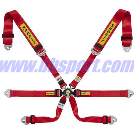 Arnés  de seguridad racing con 6 puntos de anclaje GOLD ENDURANCE