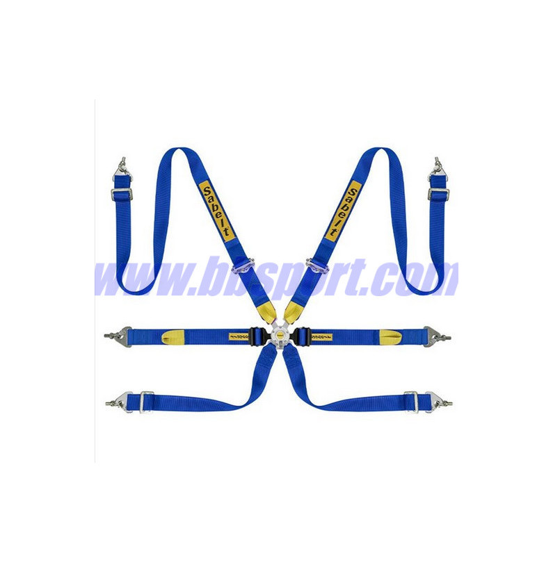 Racing safety harness with 6 anchor points LPM