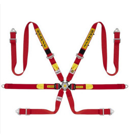Racing safety harness with 6 anchor points LPM