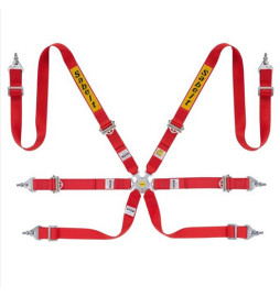 Racing safety harness with 6 anchor points RALLY
