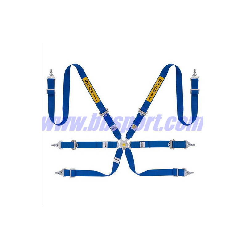 Racing safety harness with 6 anchor points RALLY