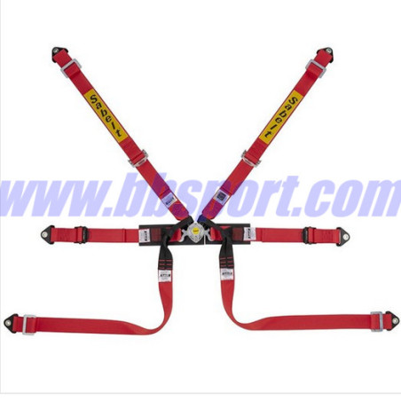 Arnés  de seguridad racing con 6 puntos de anclaje STEEL FORMULA BASIC