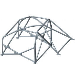 Jaula antivuelco Sassa tipo A-6 Citroen Saxo, 96-04