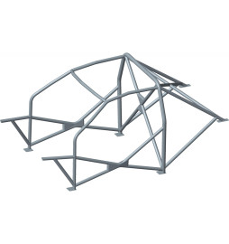 Celda de seguridad Sassa tipo D Renault Clio 2 RS, 98-05