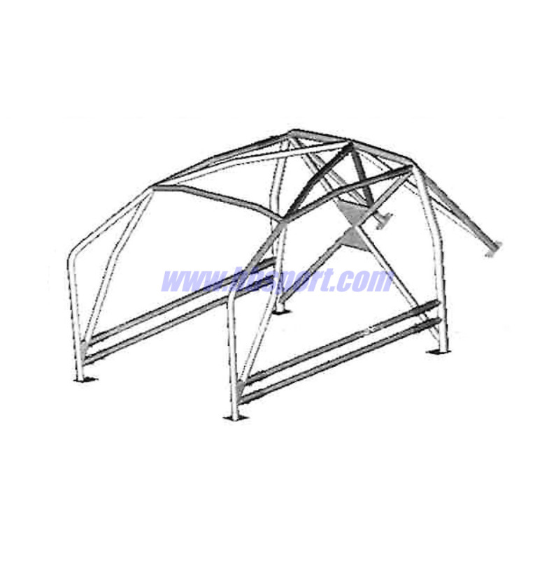 Jaula antivuelco Sassa tipo A-7 Seat Leon, 06- Jaula antivuelco Sassa tipo A-7 Seat Leon, 06-