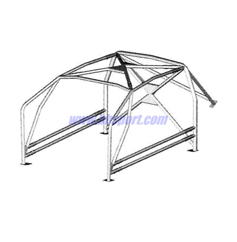 Jaula antivuelco Sassa tipo A-9 Seat Leon, 06- Jaula antivuelco Sassa tipo A-9 Seat Leon, 06-