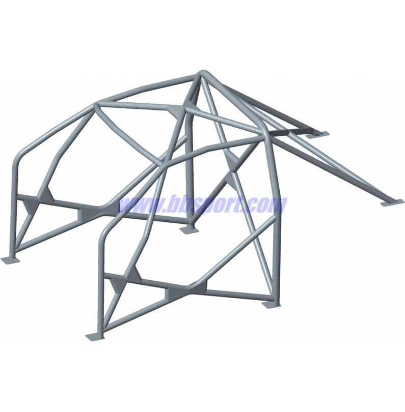 Sassa roll cage type A-12 Peugeot 207, 06-
