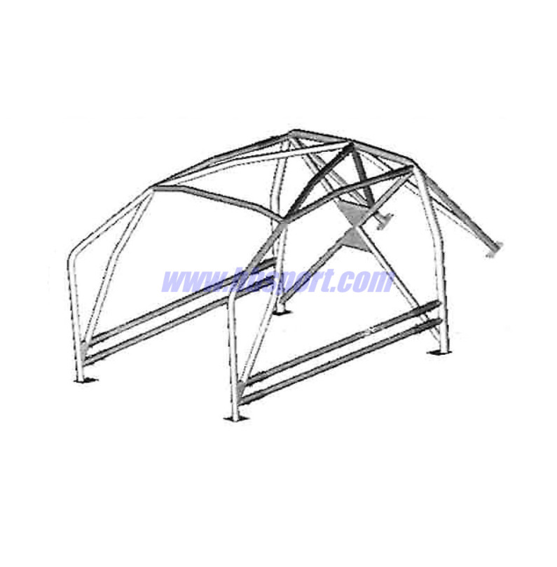 Sassa roll cage type A-7 Peugeot 207, 06-