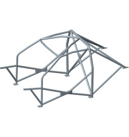 Celda de seguridad Sassa tipo F Renault Clio 2 RS, 98-05