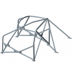 Sassa roll cage type A-10 Ford Mustang Gt, 05-