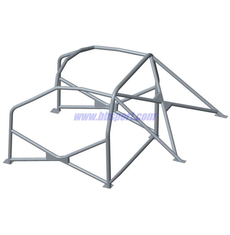 Jaula antivuelco Sassa tipo A-3 Renault Clio 2 RS, 98-05