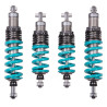 Nitron NTR R1 Suspension Kit for Alpine A110 (2017+)