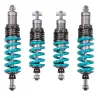 Nitron NTR R1 Suspension Kit for Alpine A110 (2017+)