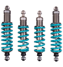 Nitron NTR R1 Suspension Kit for Nissan Skyline R33 GTS-t