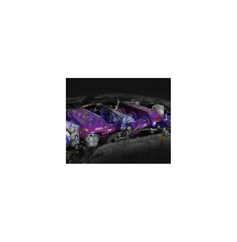 HKS High Flow Surge Tank and Twin Injector Kit for GT-R R35 HKS High Flow Surge Tank and Twin Injector Kit for GT-R R35