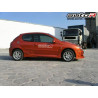 Peugeot 206 98-03 3D Sideskirts Hunter