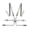 Arneses OMP ONE-D 2″ PULL UP FIA 8853-2016