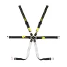 Arneses OMP FIA ONE 2″ ENDURANCE PULL DOWN