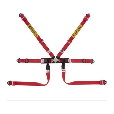 Arnés Sabelt STEEL Formula Basic 6 puntos FIA 8853-2016