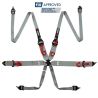 Arnés FIA RRS R6 HANS de 6 puntos gris 2,8 kg FIA 8853-2016