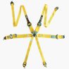 Arnés FIA RRS R6 HANS de 6 puntos amarillo 2,8 kg FIA 8853-2016