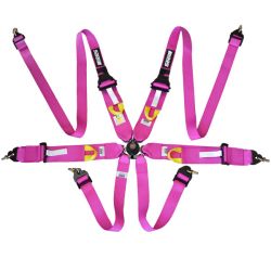 Arnés FIA RRS R6 HANS de 6 puntos rosa 2,8 kg FIA 8853-2016