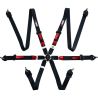Arnés FIA RRS R6 Light EVO de 6 puntos negro 2,5 kg FIA 8853-2016