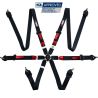 Arnés FIA RRS R6 Light EVO de 6 puntos negro 2,5 kg FIA 8853-2016