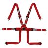 Arnés FIA RRS Monoplaza 2" HANS de 6 puntos rojo
