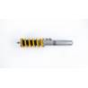 Ohlins Suspension roscada Road & Track BMW Z4 E89