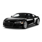 Audi R8. Suspensions, brakes and Chassis Sport. High Performance