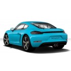 Porsche Cayman. Suspensions, brakes and Chassis Sport. High Performance