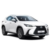 Lexus NX Accesorios Sport