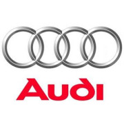 AST Roll cages Audi