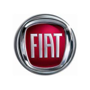 AST Roll cages Fiat