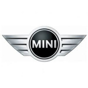 AST Roll cages Mini