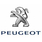 AST Roll cages Peugeot