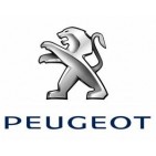 Peugeot Arcos Antivuelco Trackday AST. Arcos traseros y arcos completos para tandas y track days en circuito homologables para calle para modelos Peugeot