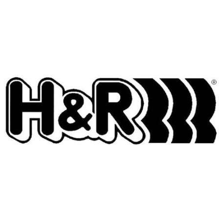 H&R suspension