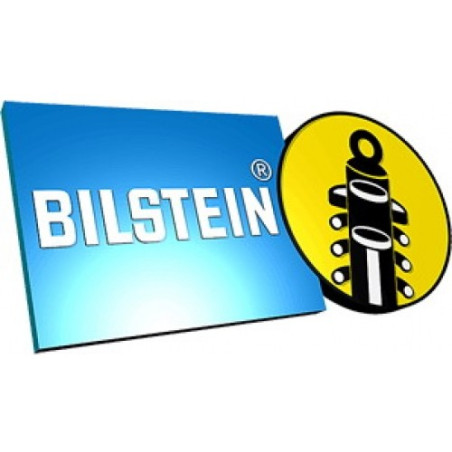 Bilstein suspension